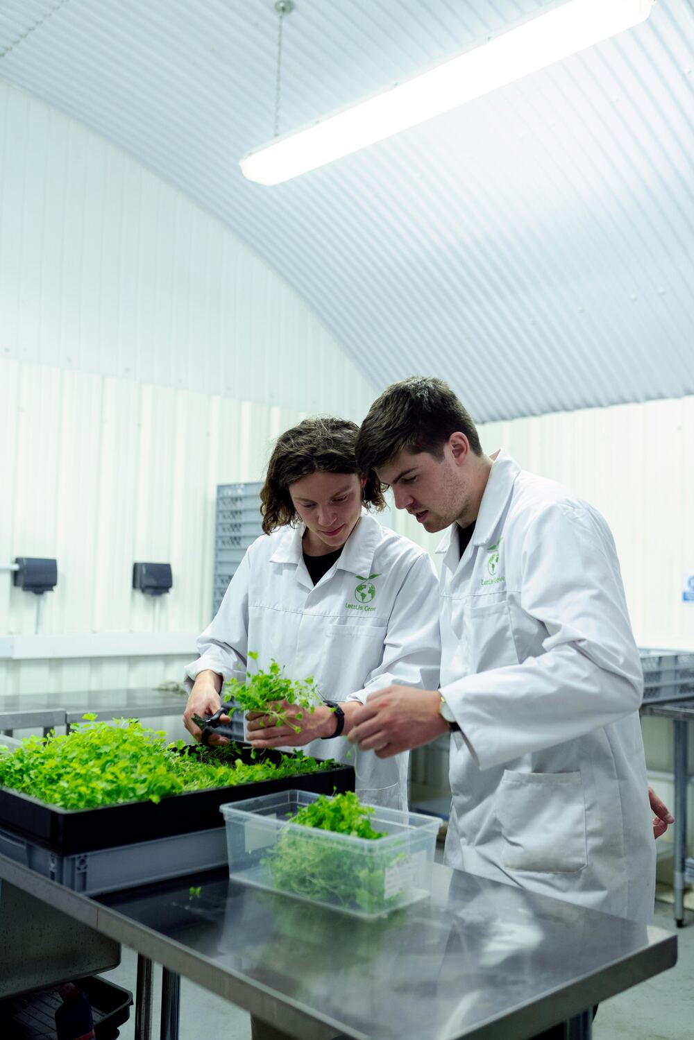 Labs and startups