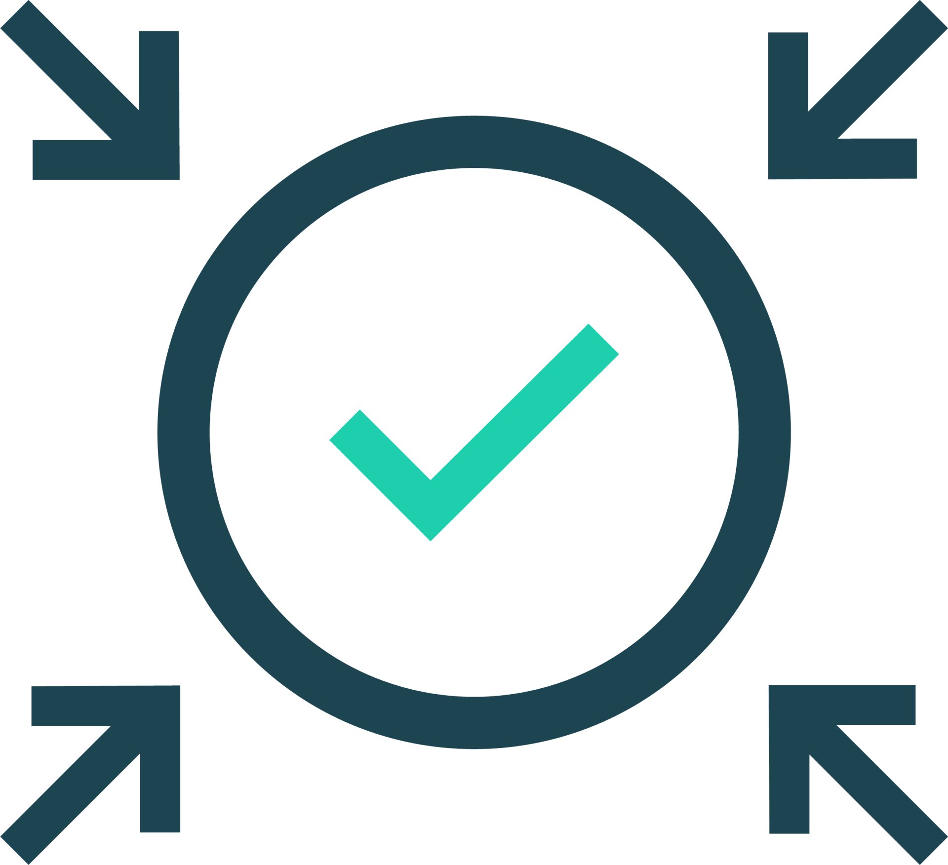 NS-ProjectManagement-icon